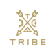 Design jobs at Tribe Interactive